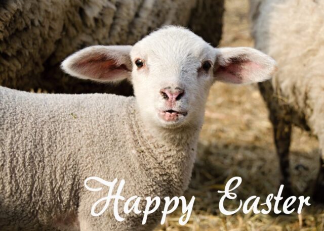 easter wishes greetings cards images free 035 1024x731