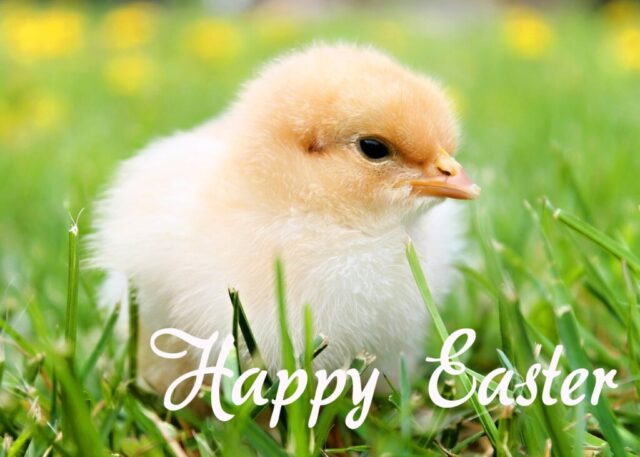 easter wishes greetings cards images free 037 1024x731