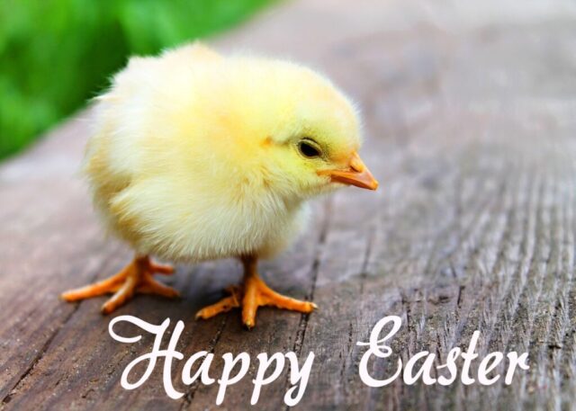 easter wishes greetings cards images free 038 1024x731