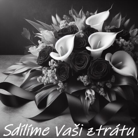 kondolence k umrti obrazky s textem ke stazeni zdarma 27