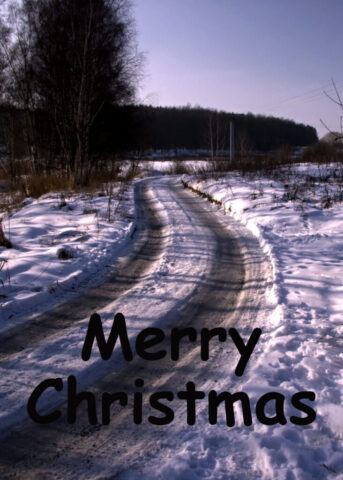 merry christmas vertical 3 732x1024