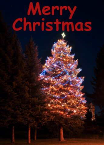 merry christmas vertical 4 731x1024