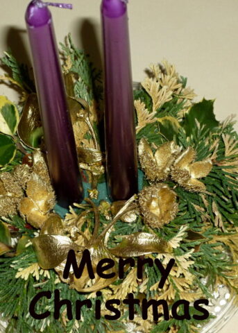 merry christmas vertical 5 732x1024