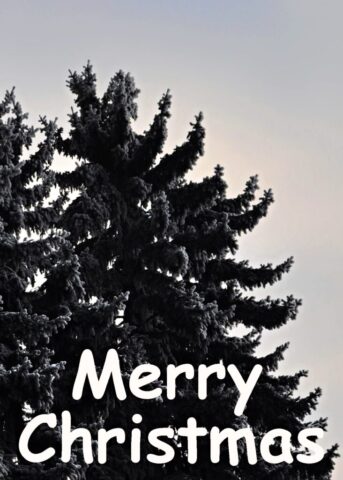 merry christmas vertical 6 732x1024
