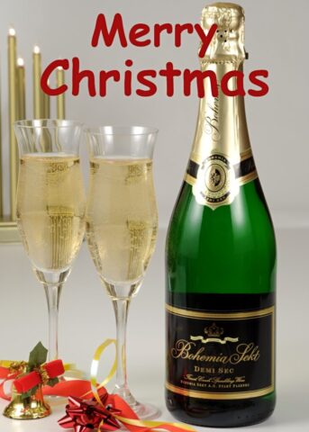 merry christmas vertical 7 731x1024
