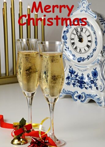 merry christmas vertical 8 731x1024
