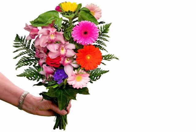 obrazky kvetin prani bez textu 044 1024x693