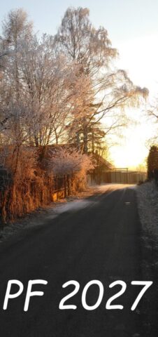 pf-novorocni-prani-na-vysku-zdarma-104 pf novorocni prani na vysku zdarma 104 483x1024