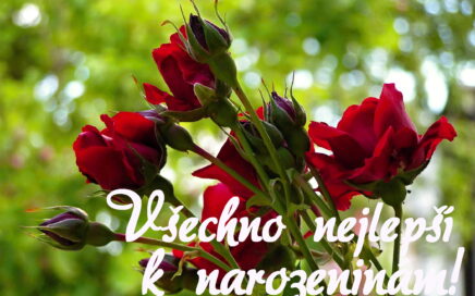 Přání k narozeninám zdarma - Všechno nejlepší k narozeninám! Červené růže na zeleném pozadí