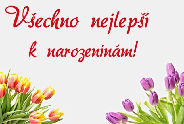 prani k narozeninam obrazky kvetin na sirku 22 1024x693