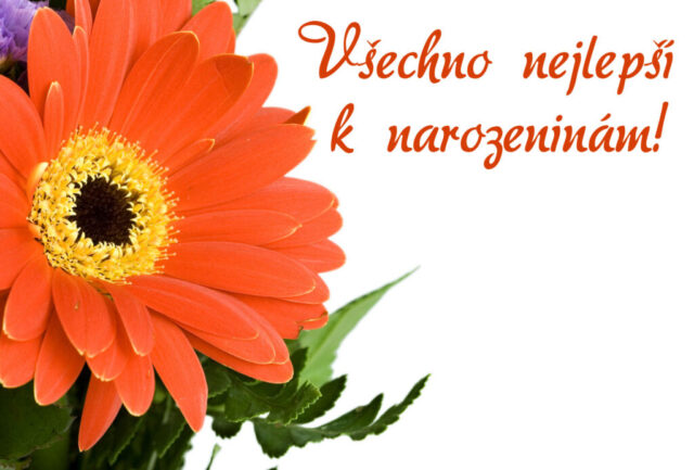 prani k narozeninam obrazky kvetin na sirku 29 1024x693