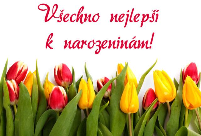 prani k narozeninam obrazky kvetin na sirku 34 1024x693