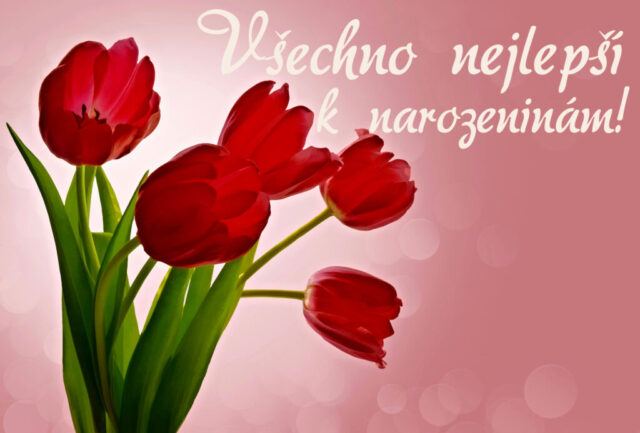prani k narozeninam obrazky kvetin na sirku 37 1024x693