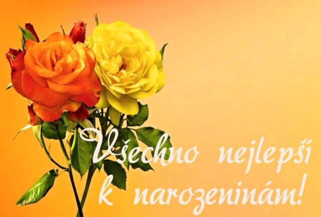 prani k narozeninam obrazky kvetin na sirku 38 1024x693