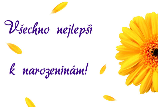 prani k narozeninam obrazky kvetin na sirku 40 1024x692