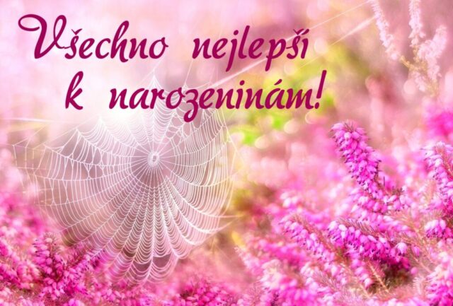 prani k narozeninam obrazky kvetin na sirku 52 1024x693