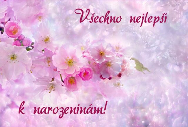 prani k narozeninam obrazky kvetin na sirku 58 1024x693