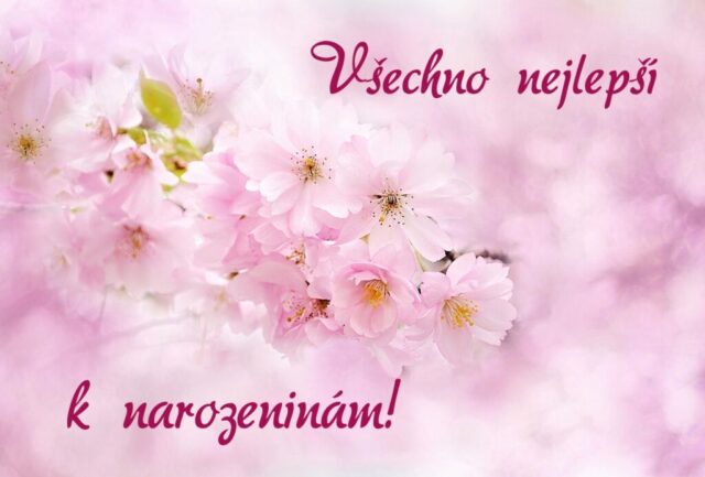 prani k narozeninam obrazky kvetin na sirku 59 1024x693