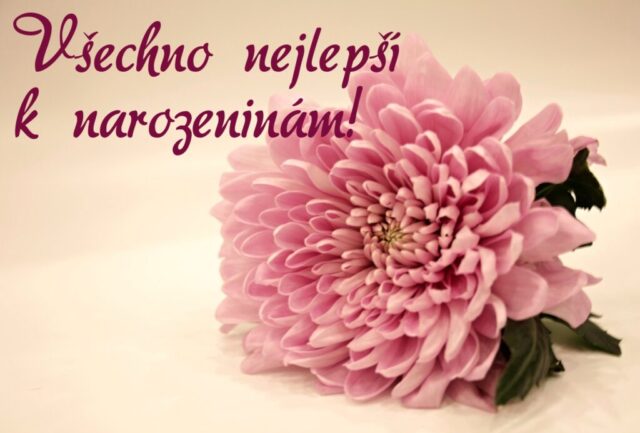 prani k narozeninam obrazky kvetin na sirku 62 1024x693