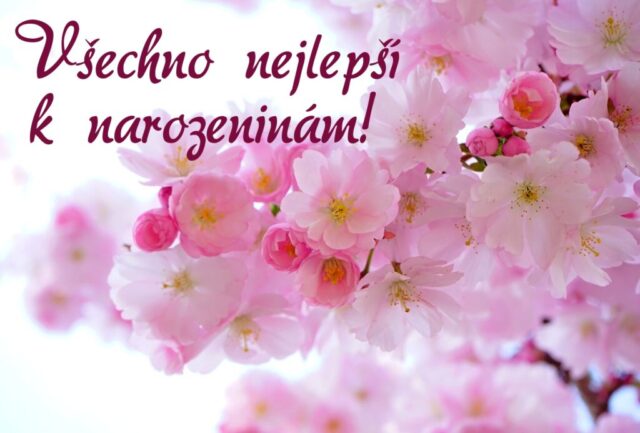 prani k narozeninam obrazky kvetin na sirku 63 1024x693