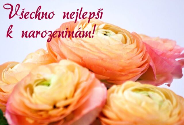 prani k narozeninam obrazky kvetin na sirku 68 1024x693