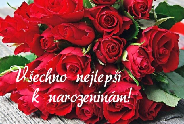 prani k narozeninam obrazky kvetin na sirku 69 1024x693