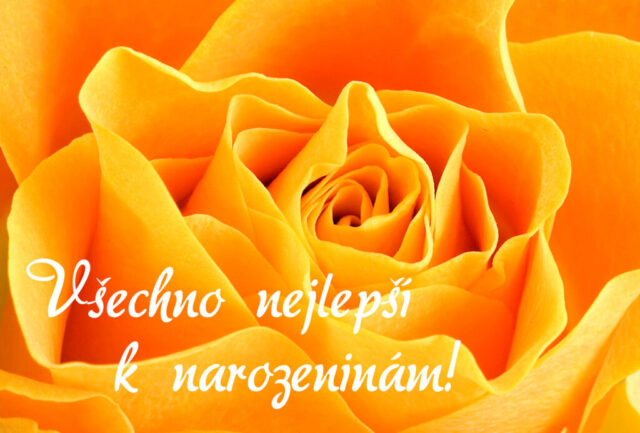 prani k narozeninam obrazky kvetin na sirku 70 1024x693
