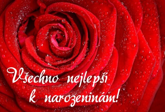 prani k narozeninam obrazky kvetin na sirku 72 1024x693