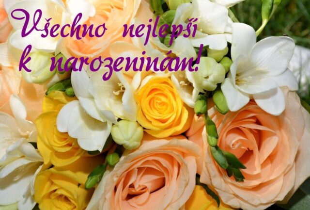 prani k narozeninam obrazky kvetin na sirku 74 1024x693