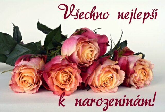 prani k narozeninam obrazky kvetin na sirku 75 1024x693