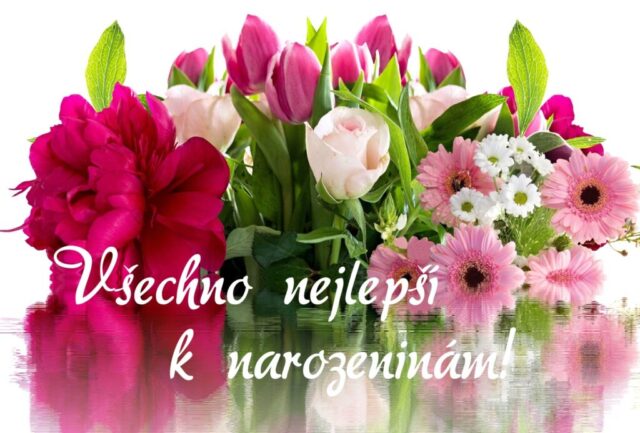prani k narozeninam obrazky kvetin na sirku 77 1024x693