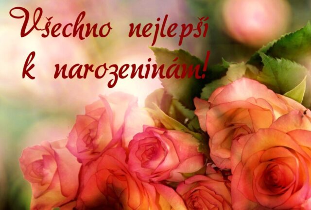 prani k narozeninam obrazky kvetin na sirku 78 1024x693