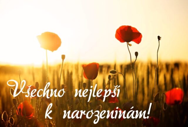prani k narozeninam obrazky kvetin na sirku 80 1024x693