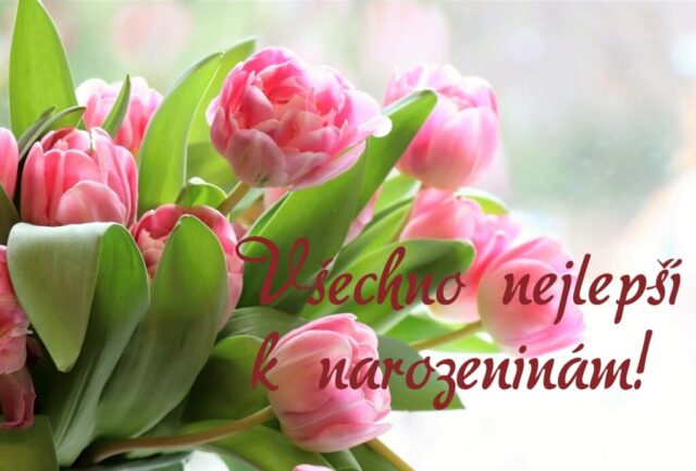 prani k narozeninam obrazky kvetin na sirku 82 1024x692