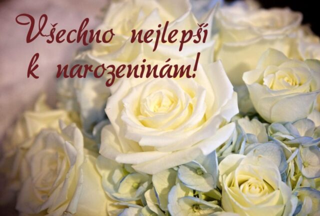 prani k narozeninam obrazky kvetin na sirku 83 1024x693
