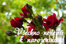 Přání k narozeninám zdarma