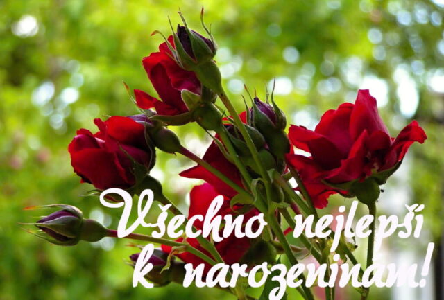 prani k narozeninam pro zeny obrazky kvetin na sirku 06 1024x693