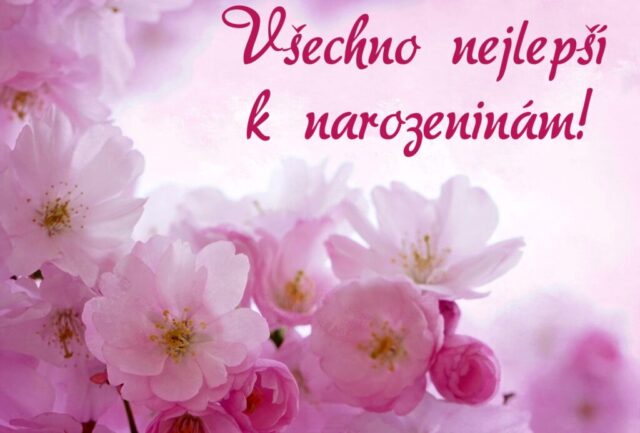 prani k narozeninam pro zeny obrazky kvetin na sirku 09 1 1024x693