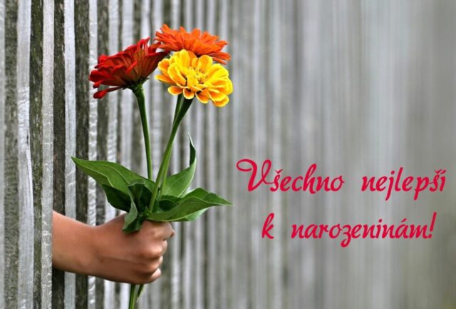 prani k narozeninam pro zeny obrazky kvetin na sirku 20 1 1024x693