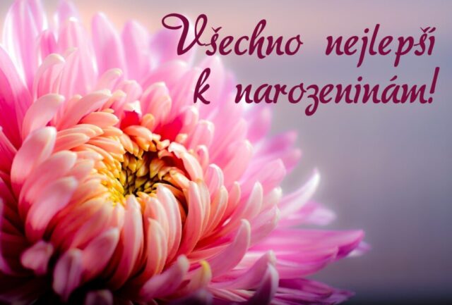 prani k narozeninam pro zeny obrazky kvetin na sirku 22 1024x693