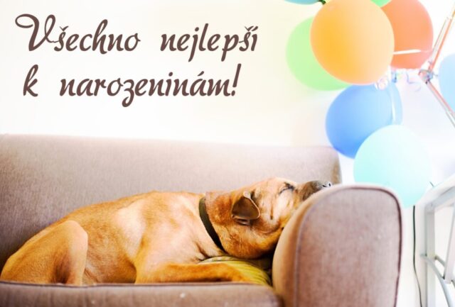 prani k narozeninam pro zeny obrazky kvetin na sirku 30 1024x693