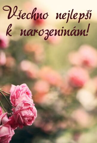 prani k narozeninam pro zeny obrazky kvetin na sirku 31 693x1024
