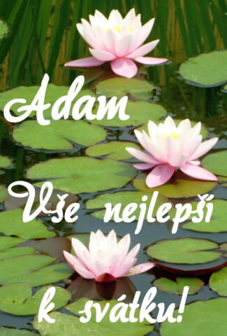 prani k svatku adam obrazky 693x1024