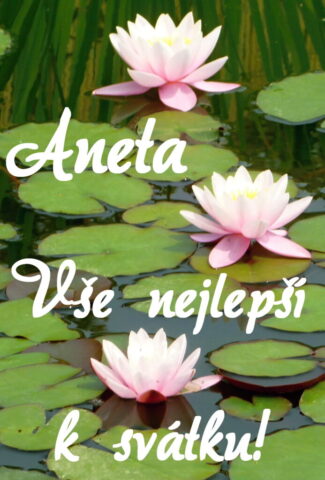 prani k svatku aneta obrazky kvetin 20 693x1024