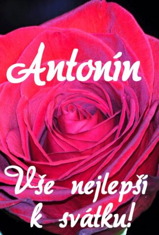 prani k svatku antonin 693x1024
