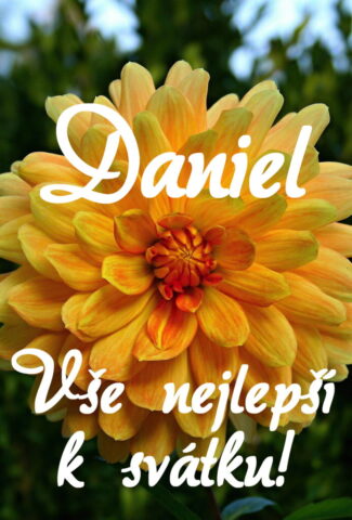 prani k svatku daniel obrazky 693x1024