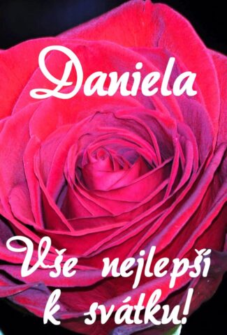 prani k svatku daniela obrazky kvetin 13 693x1024
