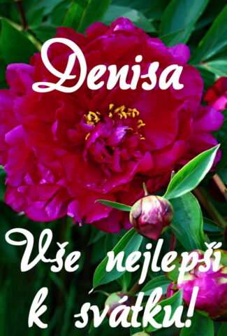 prani k svatku denisa obrazky kvetin 3 693x1024