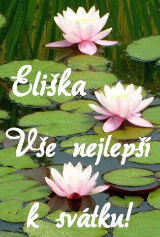 prani k svatku eliska 693x1024