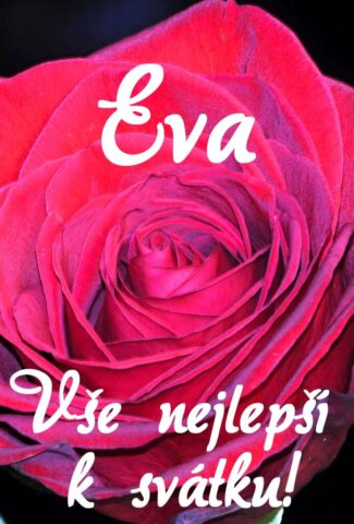 prani k svatku eva 693x1024